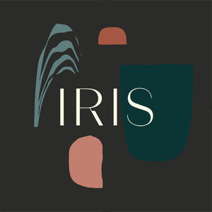 Permanent Jewelry Appointment - Iris 1956